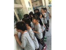濟煉幼兒園大班參觀小學(xué)活動